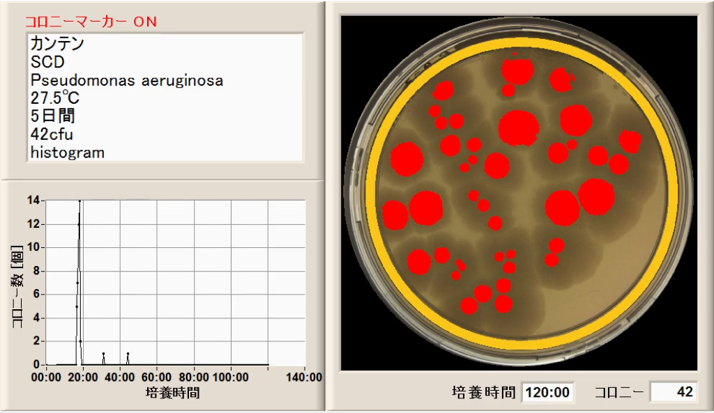 微生物限度試験/Pseudomonas